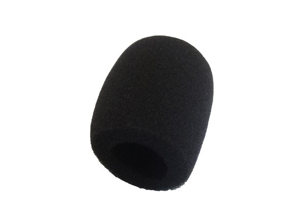 Eagle windshield for microphone