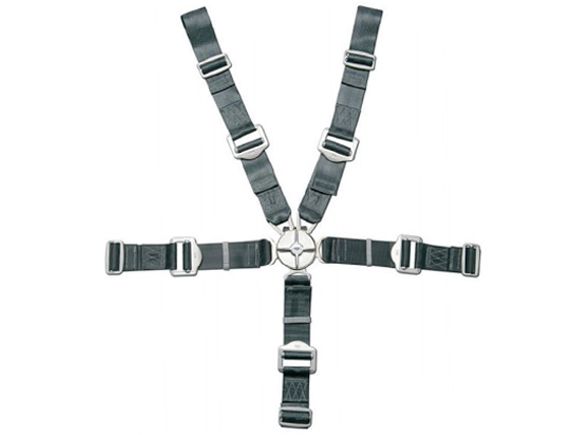 Gadringer 5-point seatbelts