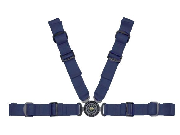 Schroth 4-point seatbelts